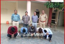 अंबाला बागवानी विभाग की सब्सिडी हड़पने वाले पांच कर्मचारी गिरफ्तार