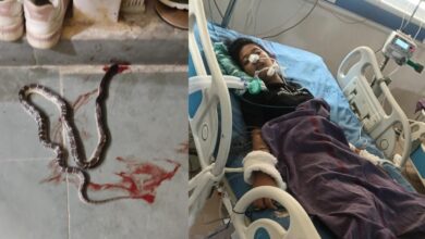 हिसार के पाबड़ा स्थित जवाहर नवोदय स्कूल के हॉस्टल में घुसे सांप ने 11वीं कक्षा की छात्रा को डसा। रात 3 बजे की घटना। छात्रा अग्रोहा मेडिकल में भर्ती। हालात गंभीर
