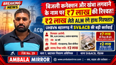 बिजली कनेक्शन और खंभा लगवाने के नाम पर ₹7 लाख की रिश्वत का मामला! ₹2 लाख लेते ALM रंगे हाथ गिरफ्तार